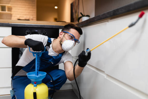 Best Affordable Pest Control Services  in River Ridge, FL