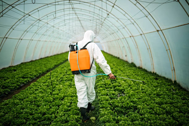 Best Affordable Pest Control Services  in River Ridge, FL