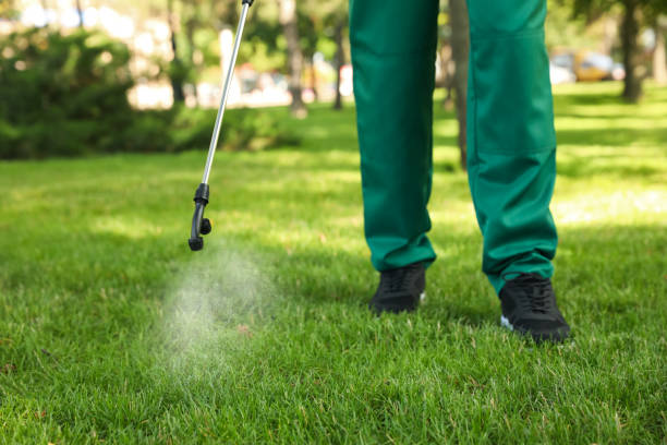 Professional Pest Control in River Ridge, FL