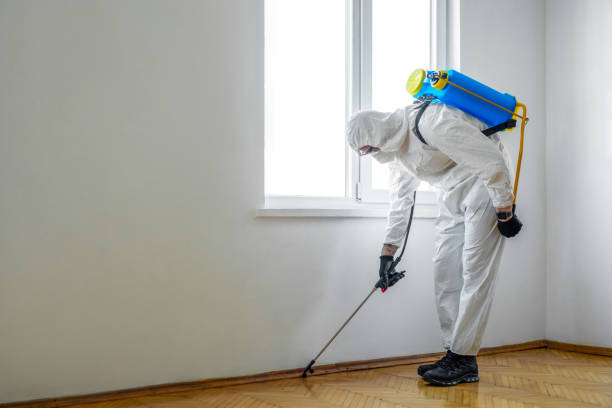 Best Mosquito Control Services  in River Ridge, FL