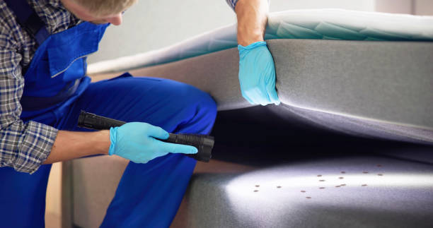 Best Pest Removal Services  in River Ridge, FL