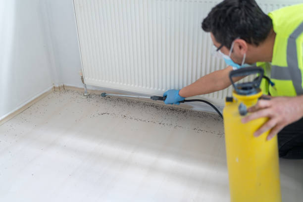 Best Pest Prevention Services  in River Ridge, FL